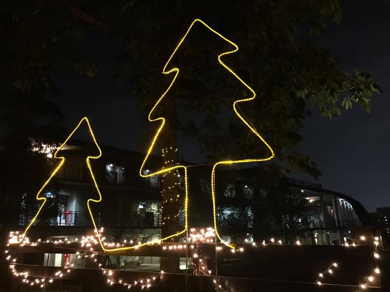 Christmas decorations on campus